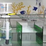 Best protein skimmer