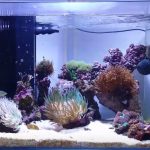 Best Led Aquarium Lighting