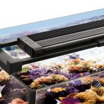 What Is The Best LED Light For Aquarium?